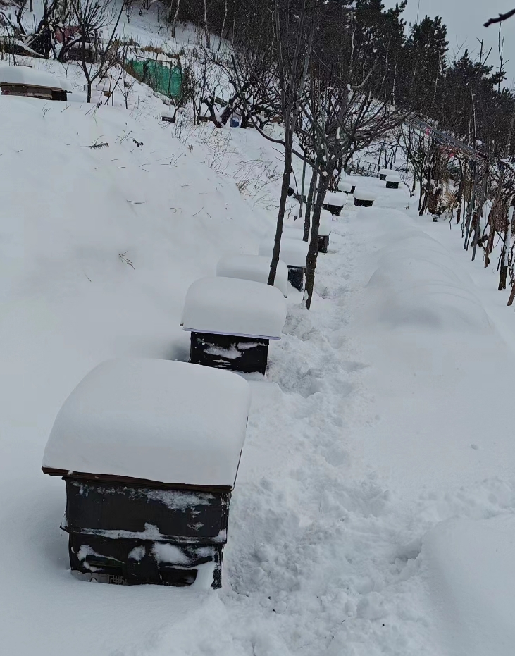 小年逢立春又逢大雪