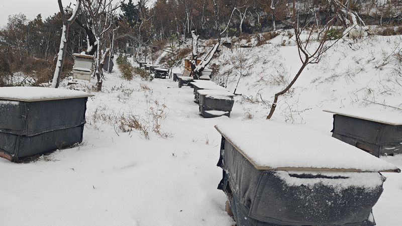 终于赶在下雪前做好了保温